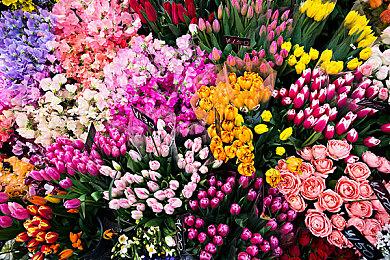 《守望先锋》周年纪念精彩合辑第2弹上线 赠送黄金补给